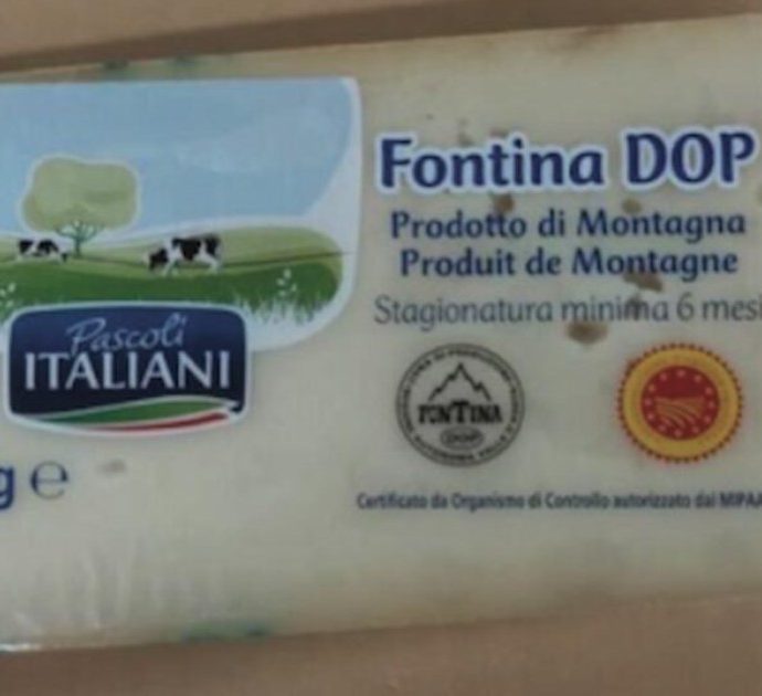 Rischio Escherichia Coli, ritirato dal mercato un lotto di Fontina Dop Pascoli italiani: è lo stesso marchio del gorgonzola richiamato per Listeria