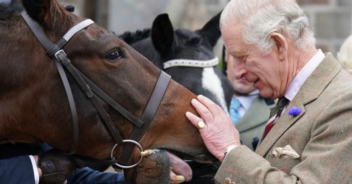 Re Carlo III ha ancora le mani “a salsicciotto”: la nuova foto mentre dà le carote ai cavalli. E si scatenano le ipotesi sulle cause