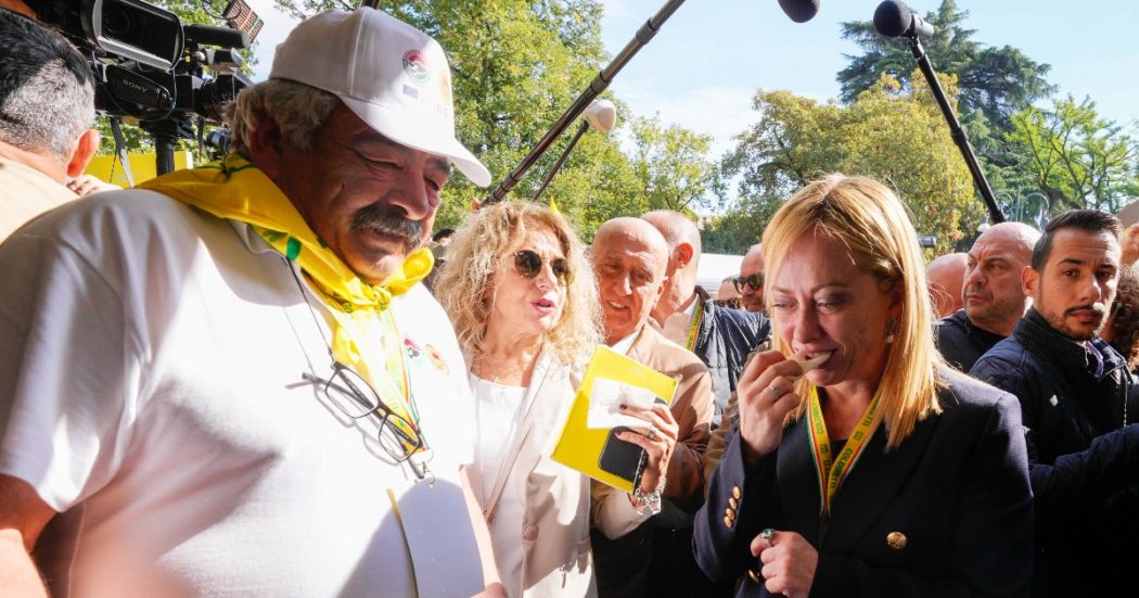 Governo Meloni, dalla “Sovranità alimentare” alla “Natalità”: ecco come cambiano i nomi dei ministeri in chiave identitaria