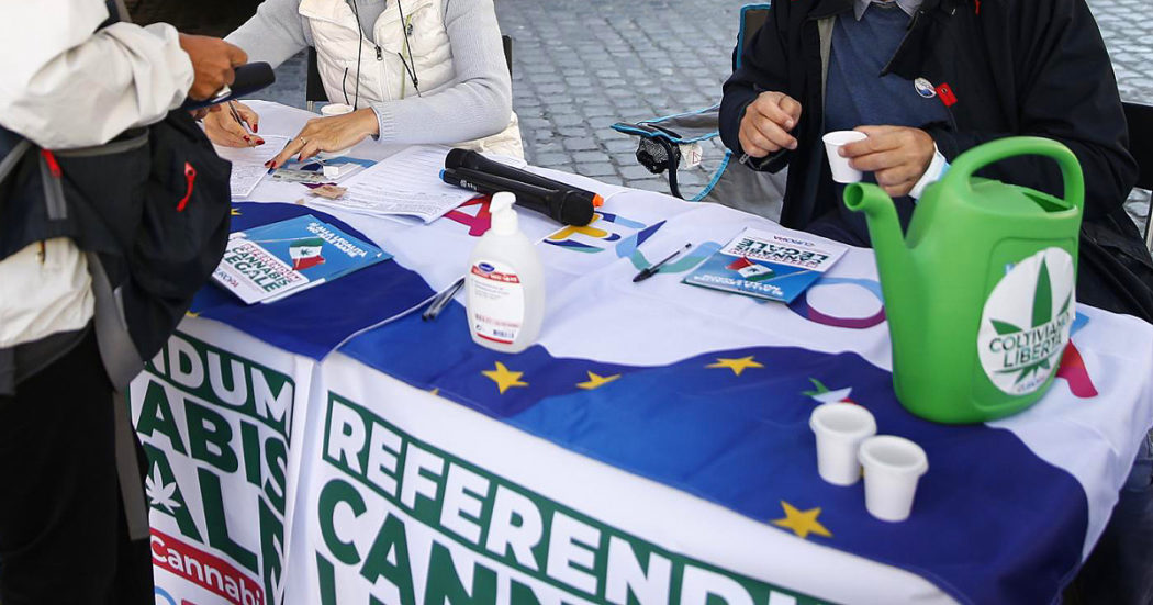 Referendum, rivoluzione digitale sulla raccolta firme: “Ci fosse stata prima, avremmo votato sulle leggi ad personam di Berlusconi. Pronti a reagire se il governo interverrà sui diritti”