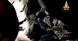Copertina di Palazzina esplosa a Lucca, estratta viva dalle macerie una cucciolata di cani: il video del salvataggio dei vigili del fuoco