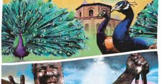 Copertina di La sai l’ultima?