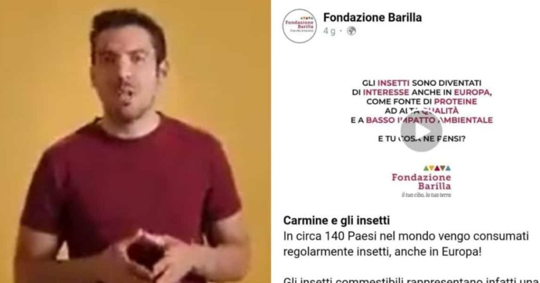 Barilla e il caso della pasta con gli insetti, come sono andate le cose: la provocazione in un video ironico, le polemiche e la smentita