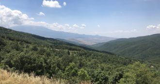 Copertina di Bancomat Ue per l’agricoltura, in Sicilia condanne per 600 anni di carcere