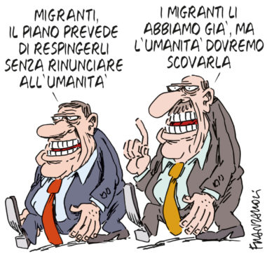 Copertina di La vignetta di Franzaroli