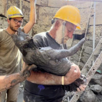 Il recupero nella vasca di nn statua durante la scoperta di un deposito votivo negli scavi di San Casciano dei Bagni, 8 novembre 2022. ANSA/ JACOPO TABOLLI  ++HO – NO SALES EDITORIAL USE ONLY++