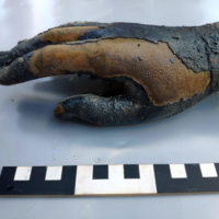 Dettaglio della mano di una statua, uno dei reperti trovati in occasione della scoperta di un deposito votivo negli scavi di San Casciano dei Bagni, in Toscana, 8 novembre 2022. ANSA/ JACOPO TABOLLI ++HO – NO SALES EDITORIAL USE ONLY++