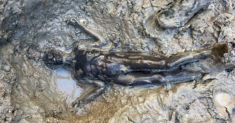 Copertina di San Casciano, una scoperta che riscriverà la storia. Ma il paragone coi Bronzi di Riace è fuori luogo