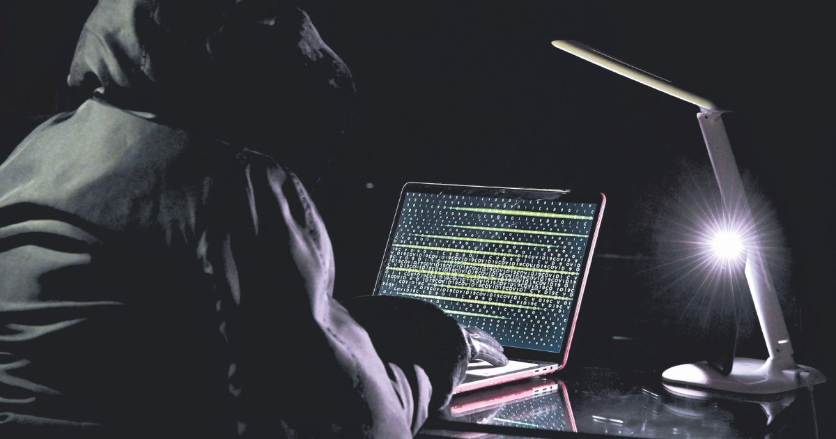 Hacker, catastrofico che i sistemi istituzionali non prevedano misure contro i disturbatori