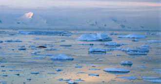 Copertina di Così le calotte polari subiranno il collasso totale e irreversibile