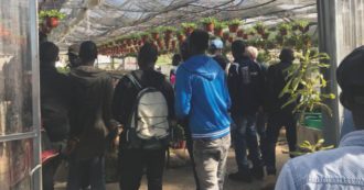 Copertina di Soumahoro, inchiesta su due coop dei familiari