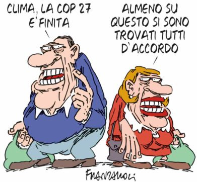 Copertina di La vignetta di Franzaroli