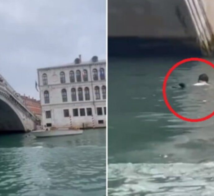 Venezia, turista vuole scattarsi un selfie “artistico” ma cade dal ponte di Rialto e finisce in acqua – VIDEO