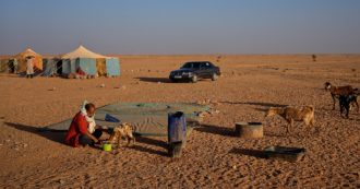 Copertina di I diritti negati del popolo saharawi – Guerra, torture, aggressioni: il Marocco e la violenta repressione (senza fine) nel Sahara occidentale