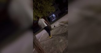 Copertina di Cassino, prende a calci un gatto come fosse un pallone e pubblica il video sui social: la denuncia dell’Enpa