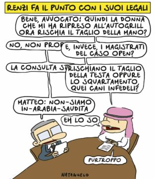 Copertina di La vignetta di Natangelo