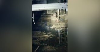 Copertina di Frana a Ischia, uomo sommerso dal fango si aggrappa a un’asse per salvarsi. I soccorritori: “Non si muova, stiamo arrivando”