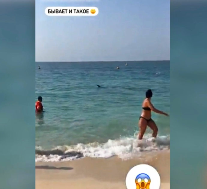 Squalo gigante insegue una donna che fa il bagno a Dubai: panico tra i turisti – Video