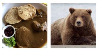 Copertina di Carne d’orso con polenta servita al ristorante, la rabbia di Michela Brambilla: “Aberrante”
