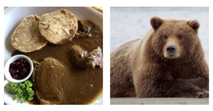 Carne d’orso con polenta servita al ristorante, la rabbia di Michela Brambilla: “Aberrante”