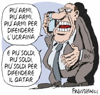 Copertina di La vignetta di Franzaroli