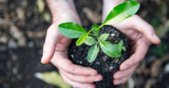 Copertina di ZeroCO2, la start-up del giovane italiano che pianta alberi e fa “scuola” ai contadini: “Non devono essere costretti a lasciare la loro terra”