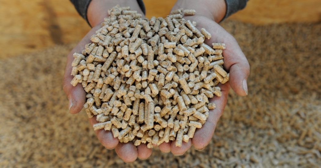 Pellet, (quasi) tutti i partiti chiedono riduzione dell’Iva dal 22% al 5%. Medici per l’Ambiente: “Politiche che perpetuano danni alla salute”