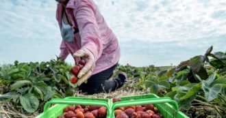 Copertina di Decreto flussi per 80 mila: record di ingressi dal 2010