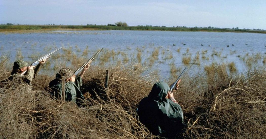 Caccia, con la deregulation si sferra l’ultimo attacco a natura e biodiversità