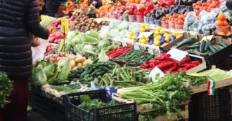 Copertina di Pesticidi negli alimenti, il report Legambiente: “La frutta è la categoria più colpita. Incentivare il biologico”