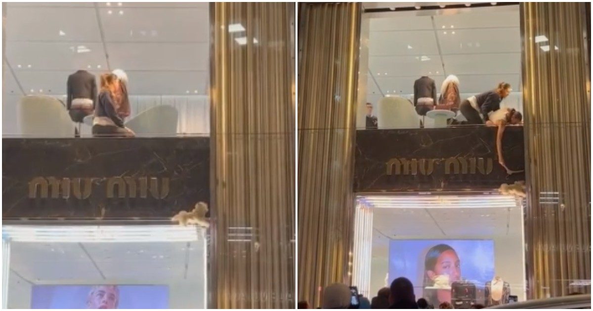 Cagnolino rimane incastrato nella vetrina di una boutique di lusso: ansia per i tentativi di salvarlo con un appendiabiti – VIDEO
