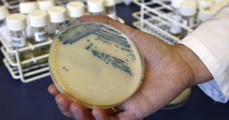 Copertina di Batteri resistenti agli antibiotici, un nuovo fronte aperto da uno studio giapponese