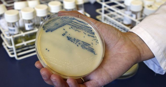 Batteri resistenti agli antibiotici, un nuovo fronte aperto da uno studio giapponese