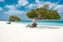 Copertina di One Happy Island: vinci un viaggio per due persone ad Aruba
