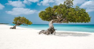 Copertina di One Happy Island: vinci un viaggio per due persone ad Aruba