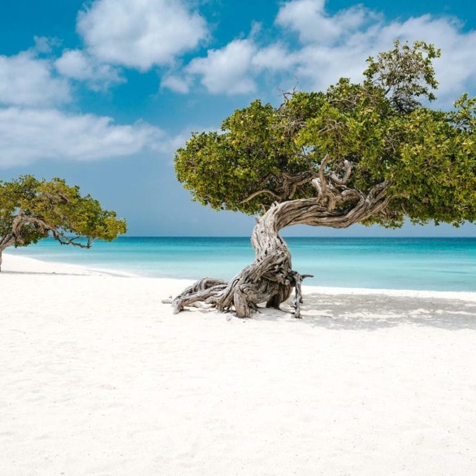 One Happy Island: vinci un viaggio per due persone ad Aruba