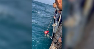 Copertina di Marine resiste ore in mare dopo il naufragio della sua nave militare: l’incredibile salvataggio in Thailandia – Video