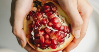 Copertina di Vitamina A, benefici non solo per la pelle ma soprattutto per il sistema immunitario: ecco come capire se si ha una carenza e perché è così importante