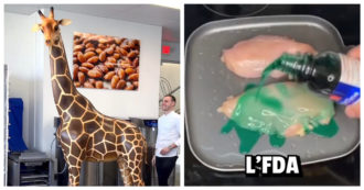 Copertina di TikTok, i video più assurdi (e più visti) del 2022: dalla giraffa di cioccolato al pollo cucinato con lo sciroppo per la tosse