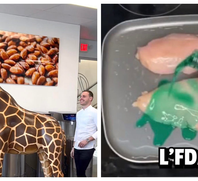 TikTok, i video più assurdi (e più visti) del 2022: dalla giraffa di cioccolato al pollo cucinato con lo sciroppo per la tosse