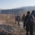 Copertina di Maestre portano bambini a Trieste per aiutare i volontari a distribuire pasti ai migranti. Insorgono FdI e Lega, Valditara invia ispettori