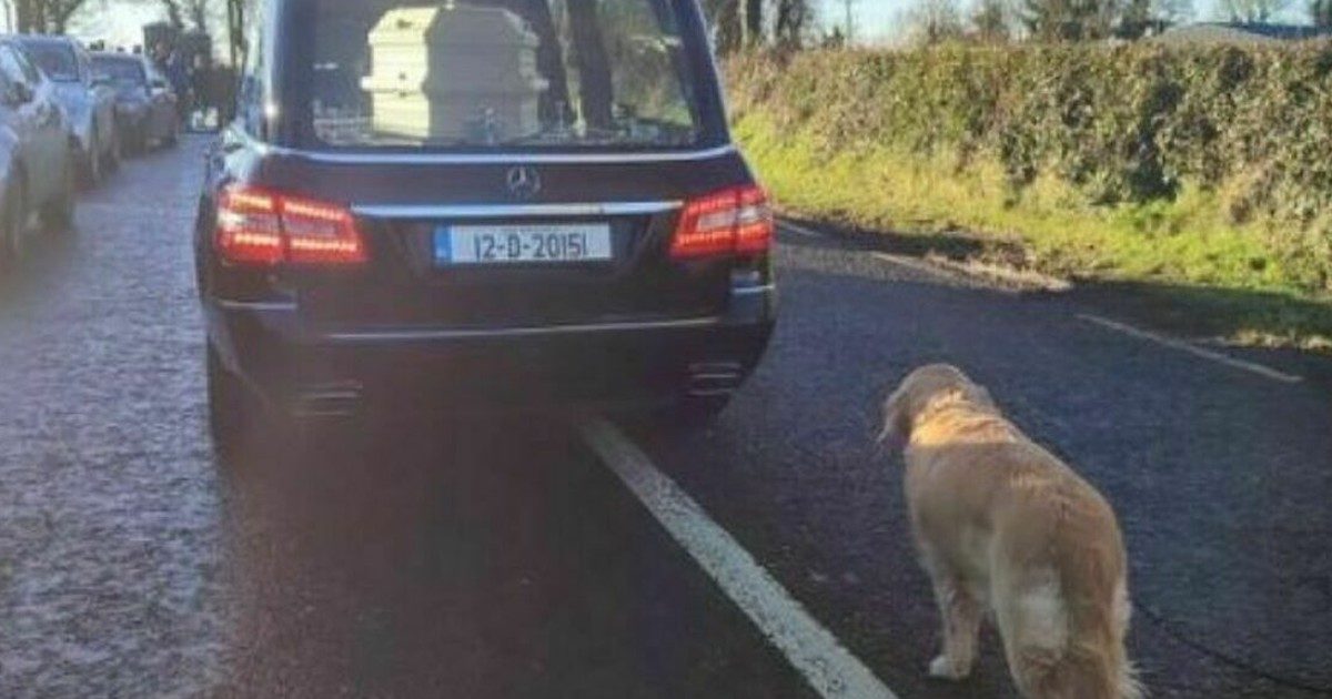 Il commovente ultimo saluto del cane Bessie alla padrona deceduta