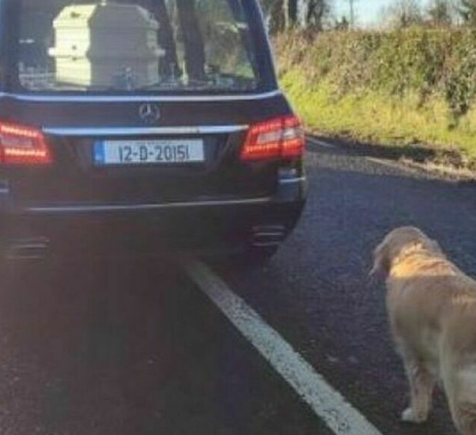 Il commovente ultimo saluto del cane Bessie alla padrona deceduta