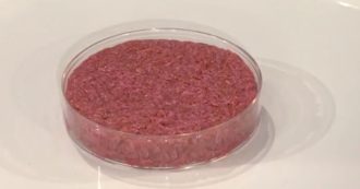 Perché la carne sintetica è così dibattuta? Bisogna rivoluzionare il sistema alimentare