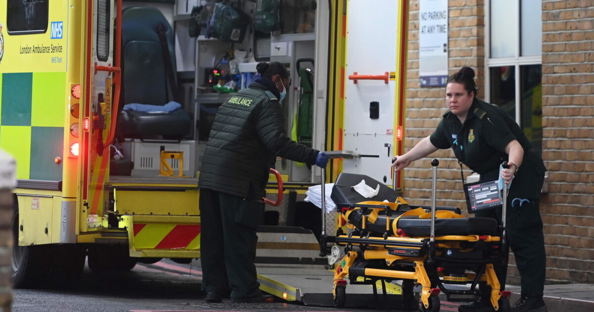 “Ho sentito un rumore stridente, poi un tonfo”. Palma di 12 metri cade sul campo da minigolf durante la festa di compleanno del figlio: la madre perde il braccio