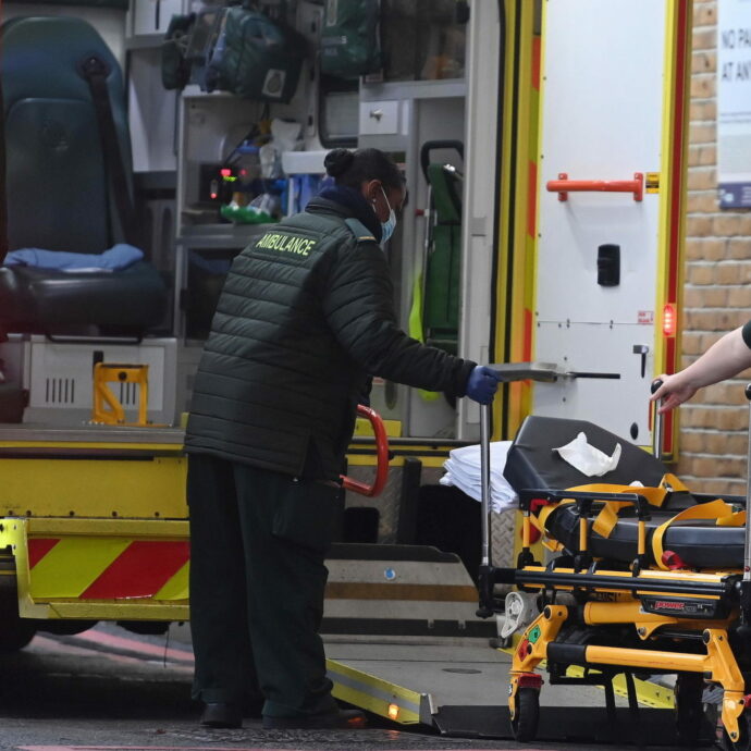 “Ho sentito un rumore stridente, poi un tonfo”. Palma di 12 metri cade sul campo da minigolf durante la festa di compleanno del figlio: la madre perde il braccio