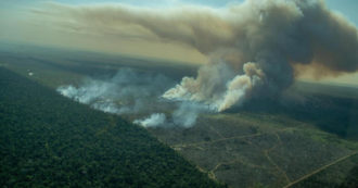 Copertina di Effetto Bolsonaro sull’Amazzonia, nel 2022 record di aree disboscate. Spariti 10mila km quadrati di foresta