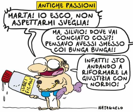 Copertina di La vignetta di Natangelo