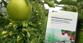 Copertina di “Uso ininterrotto di pesticidi sulle mele dell’Alto Adige”: il dossier dell’Istituto tedesco. I dati? Avuti grazie alla querela della Provincia