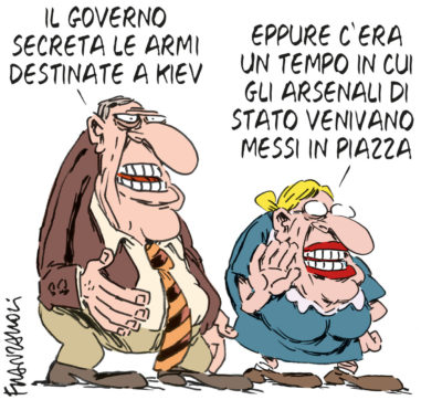 Copertina di La vignetta di Franzaroli